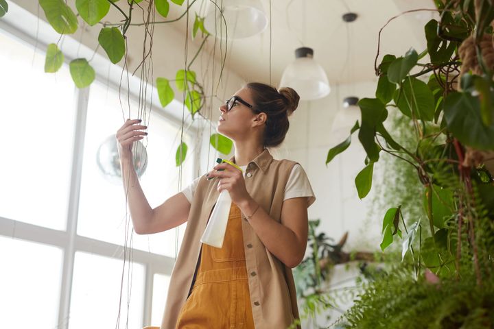 The CO2 Cognitive Ceiling: Air Quality as a Nootropic