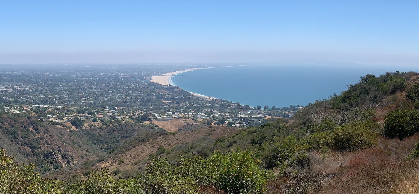 Why Trump's 'Eviction Moratorium' is a Nothing Burger for the megacity apartment REITs