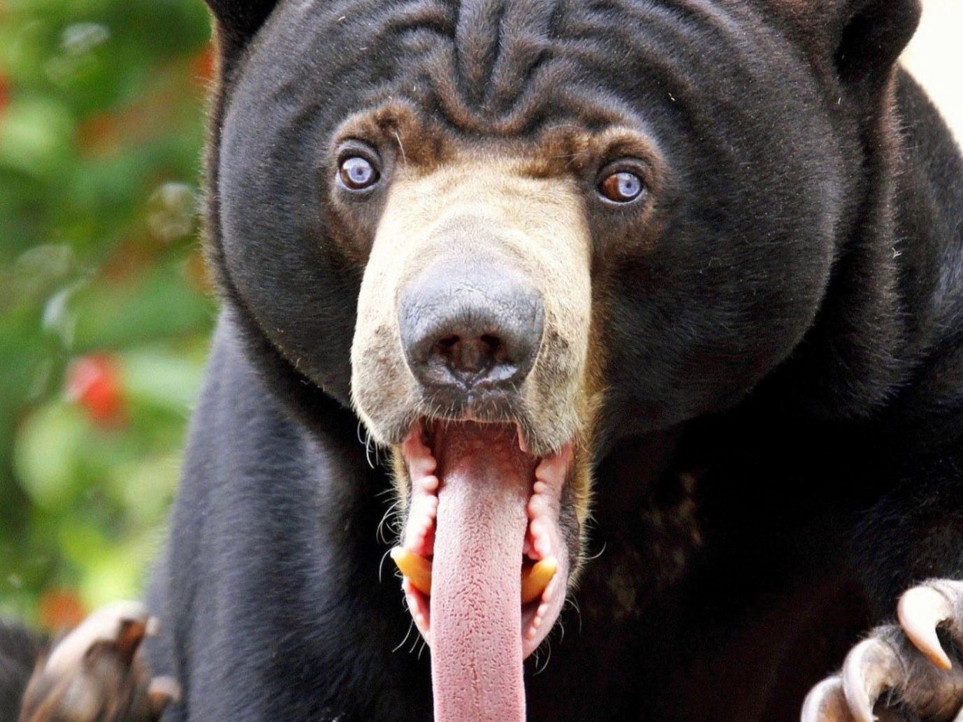 Essex Property Trust (ESS): What Goldman Sachs says vs. What Goldman Sachs does