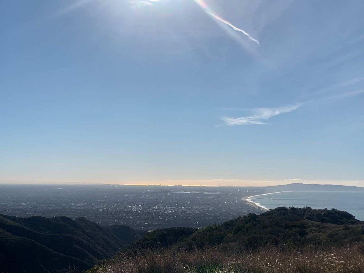 Essex FY results & Private (REAL) market update