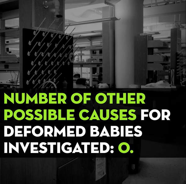 Zika 201- The CDC Report