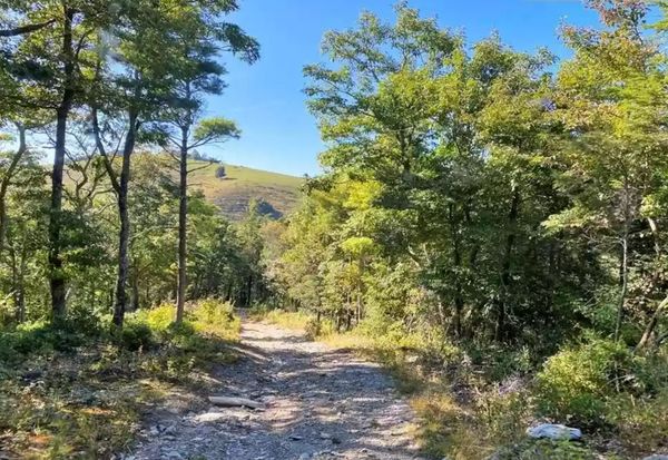 Look at this—We can start our tribe here!