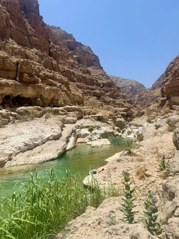 Oman - Randonnées et baignades au Wadi Shab