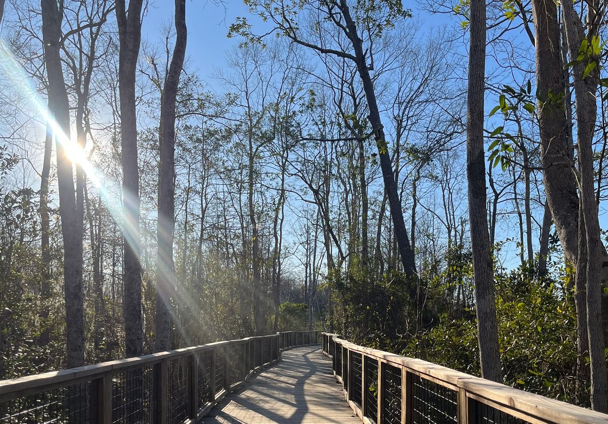 It's time to 'touch grass'