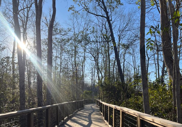 It's time to 'touch grass'