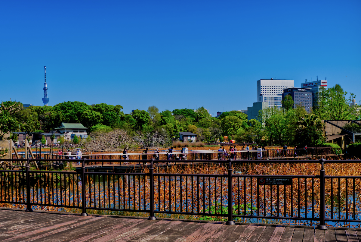 Sumida Aquarium ＜角田水族館＞& Ueno Zoo ＜上野動物園＞