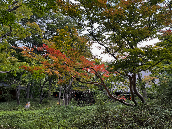 Von Kaiseki〈懐石〉, Ryokan〈旅館〉und Spätsommer