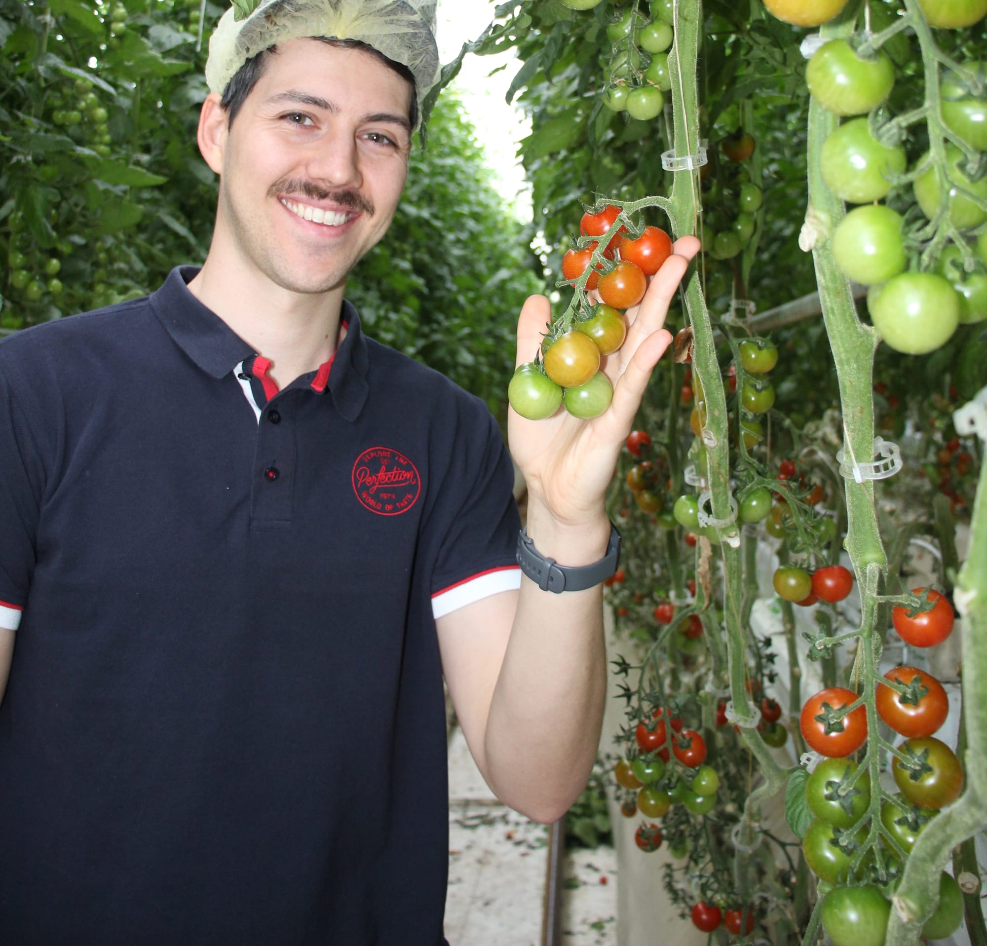 Tomatoes and cucumbers, grown to perfection at Two Wells