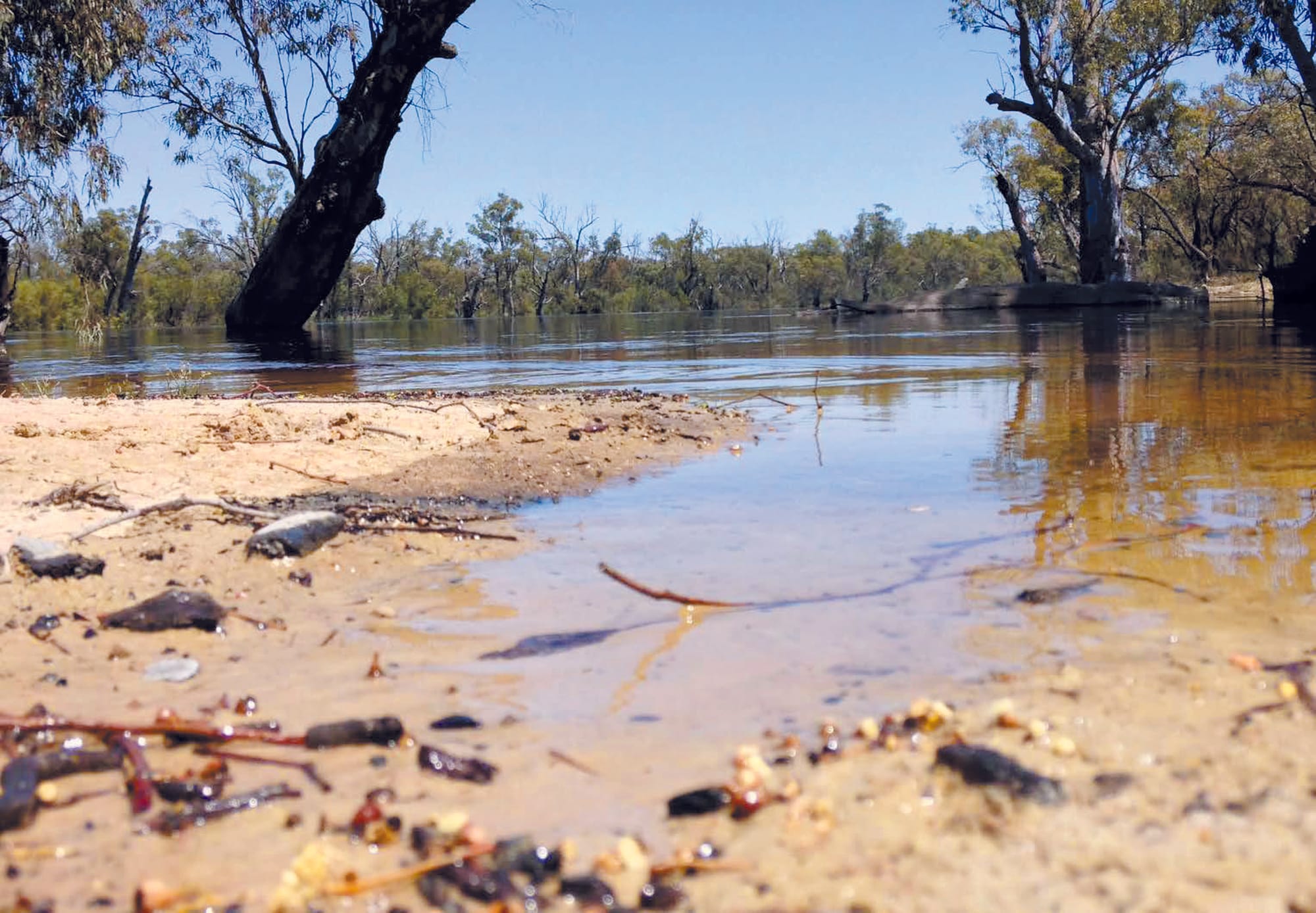High flows hitting SA water quality