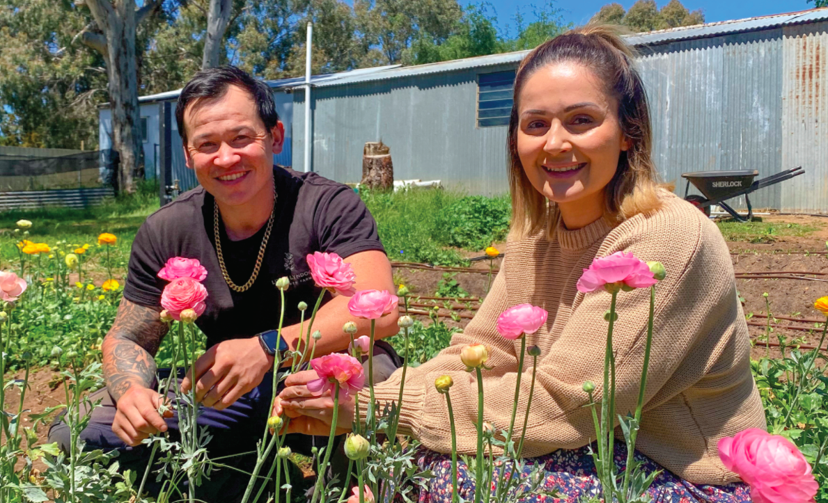 Every plant has a story to tell at Fitzy’s Natives & Horticulture Services