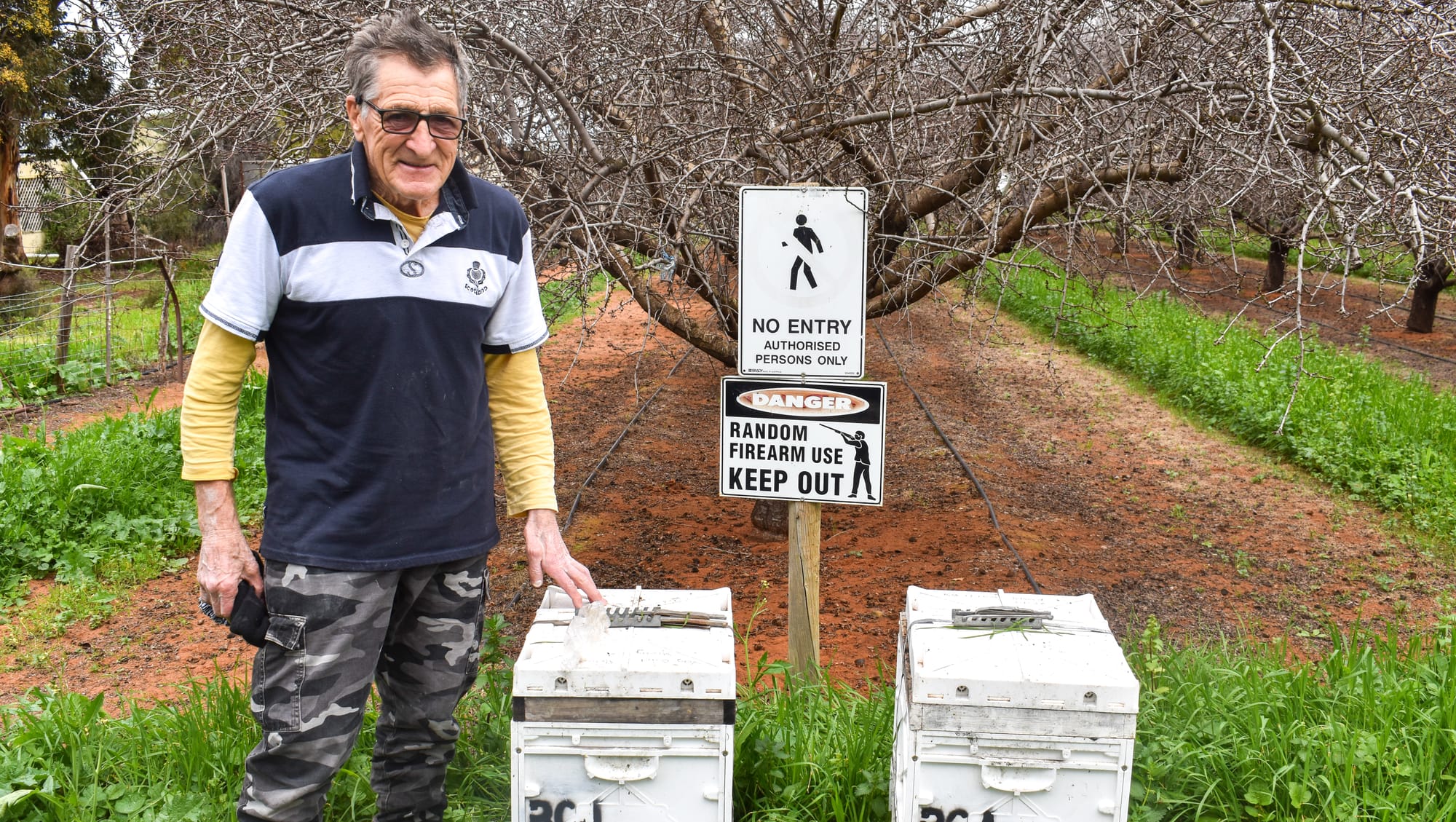 Varroa mite: It only takes one