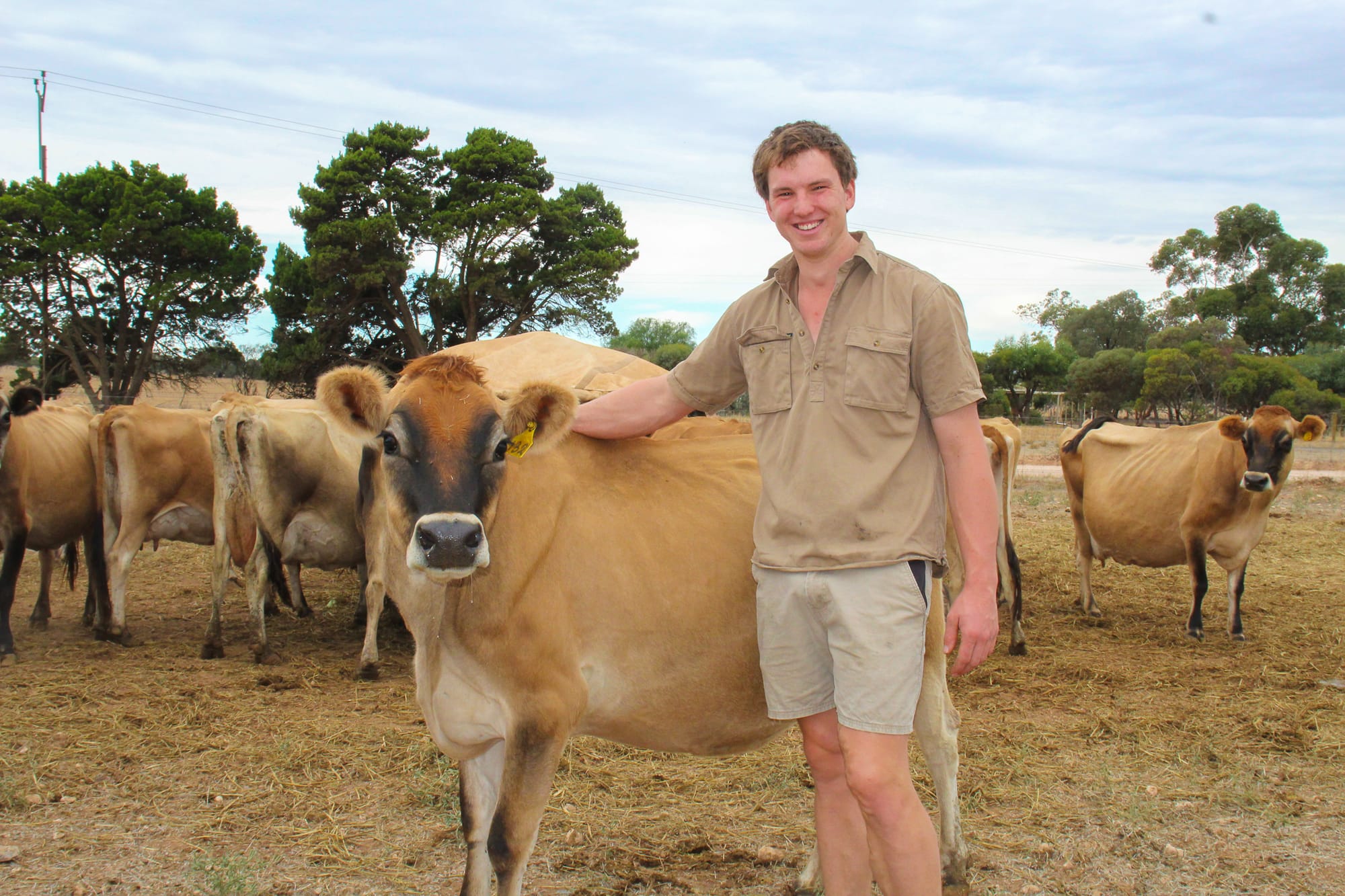 Pet cow ignited James’s dairy passion