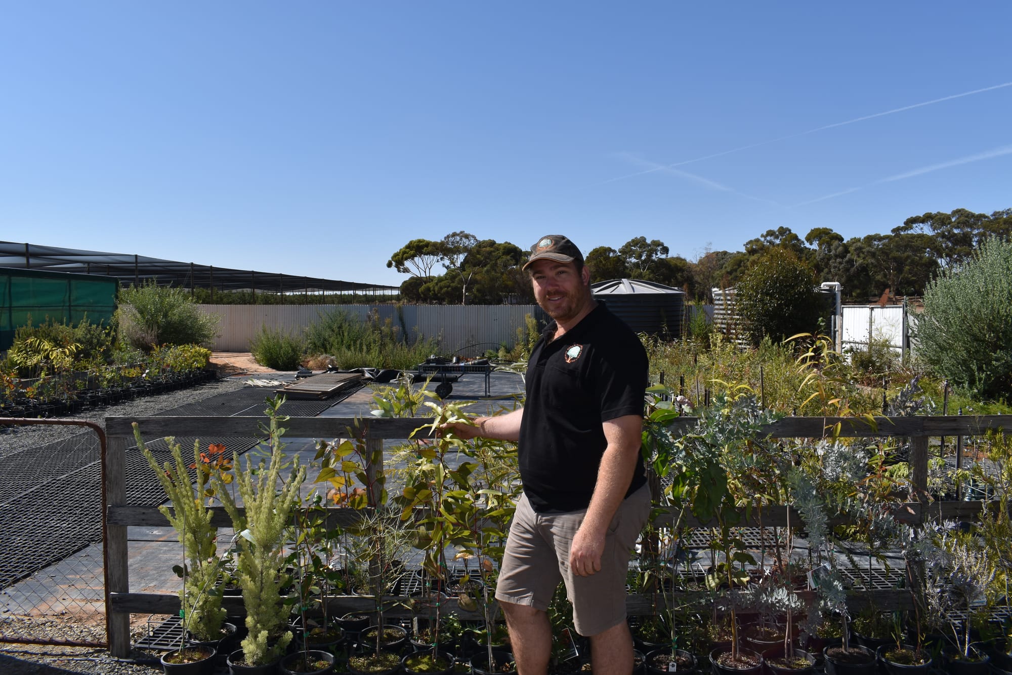Planty of love for native species in Loxton