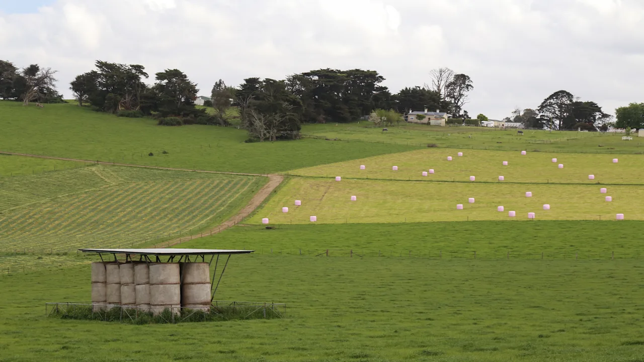 Don’t forget the benefits of farm laneways