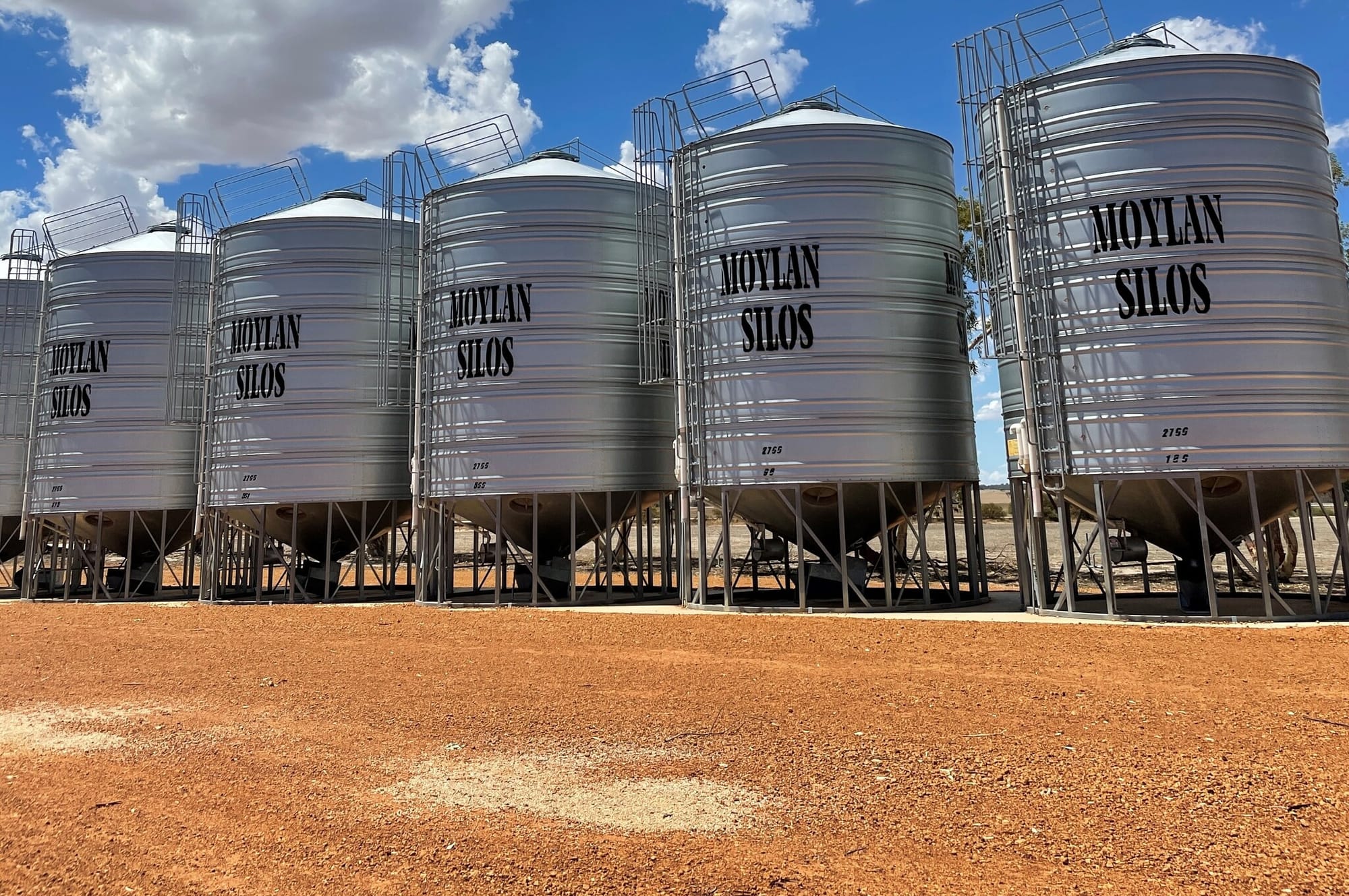 Importance of grain storage hygiene against pests