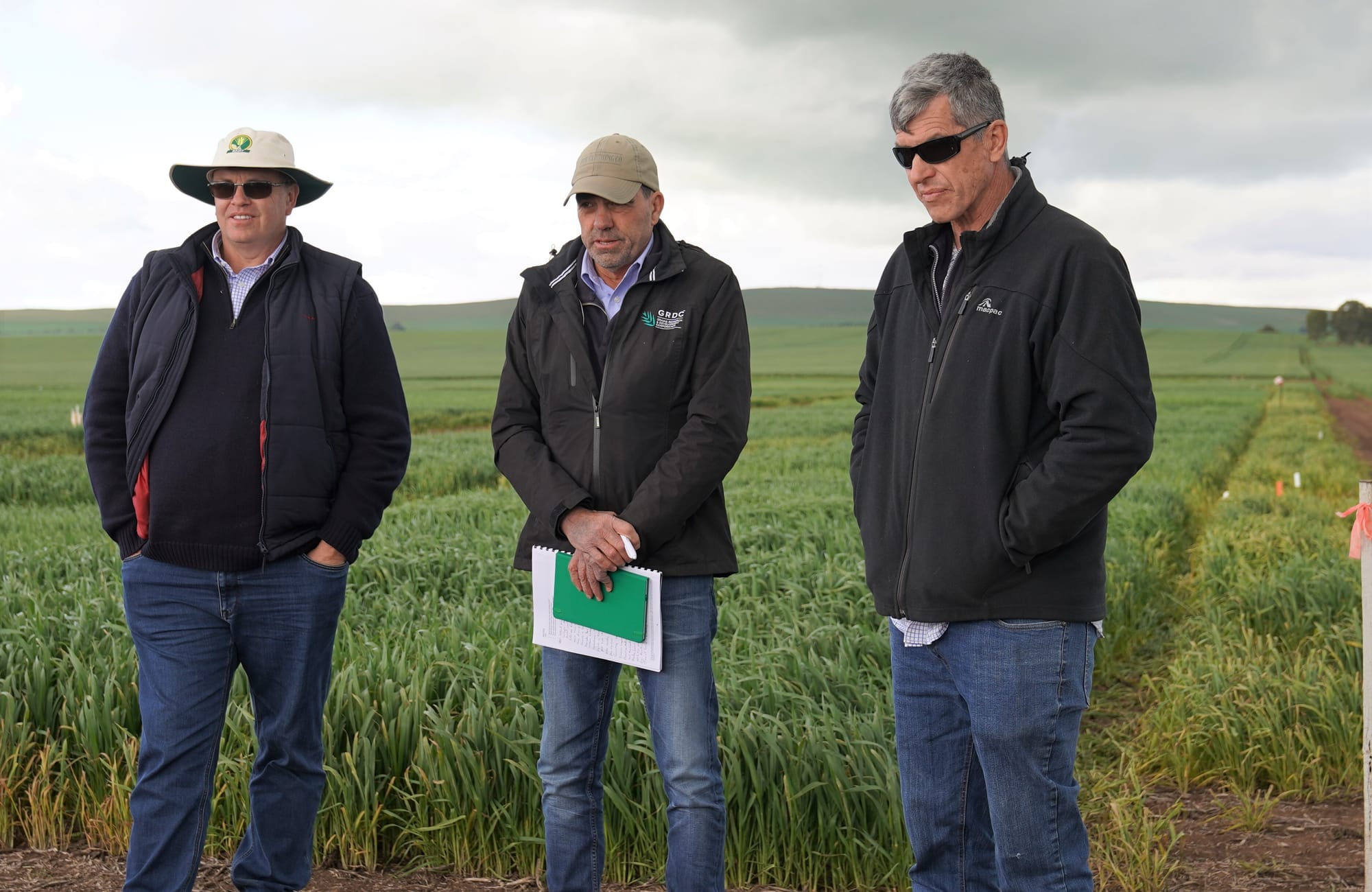 Co-investment model boosts SA grains research outcomes