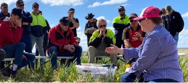 Grain grower masterclasses for sandy soils