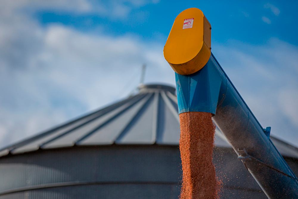 Record ag exports despite disruptions