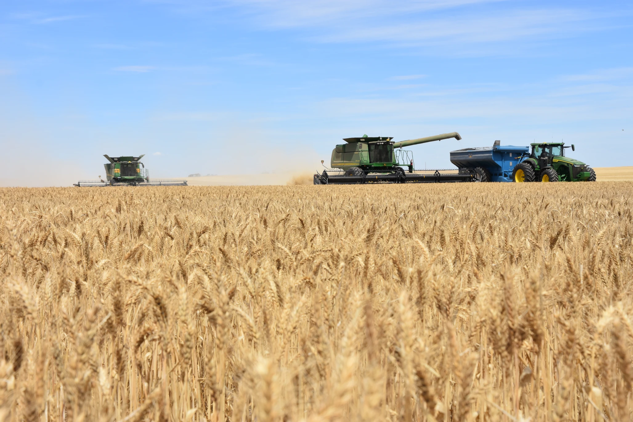 GPSA calls for impact assessments on APVMA reviews