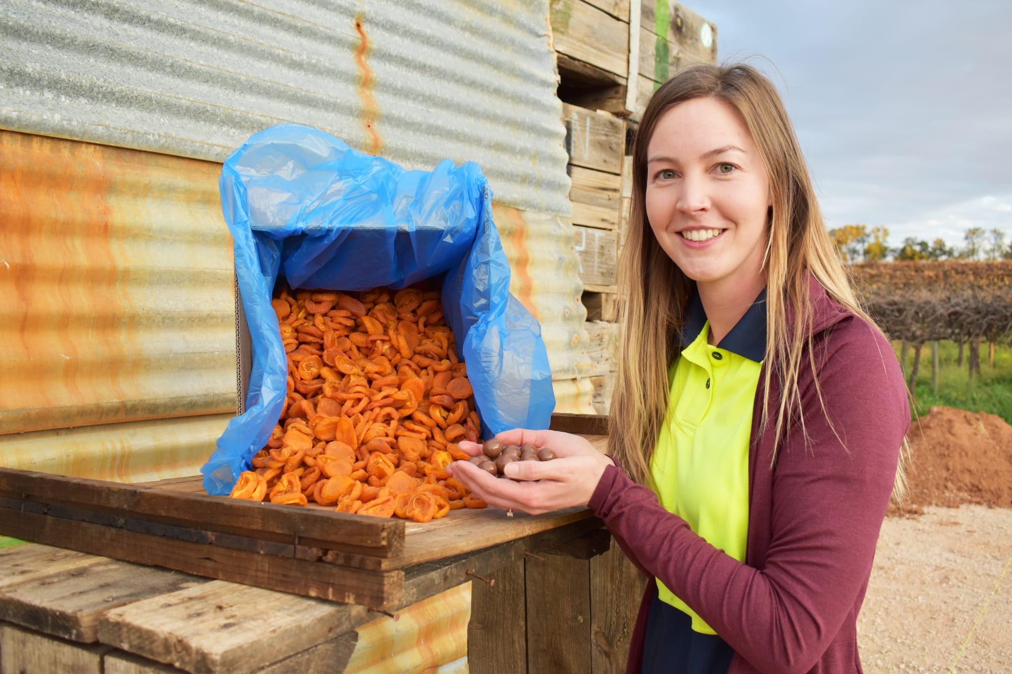 Quirkes: For the love of Riverland apricots