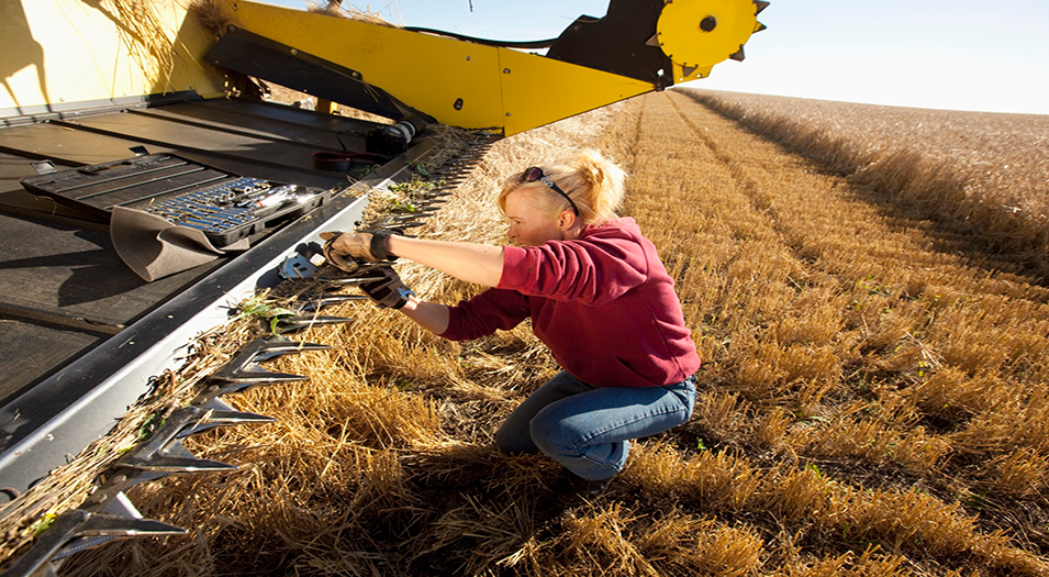 Snapshot shows agricultural workforce changes