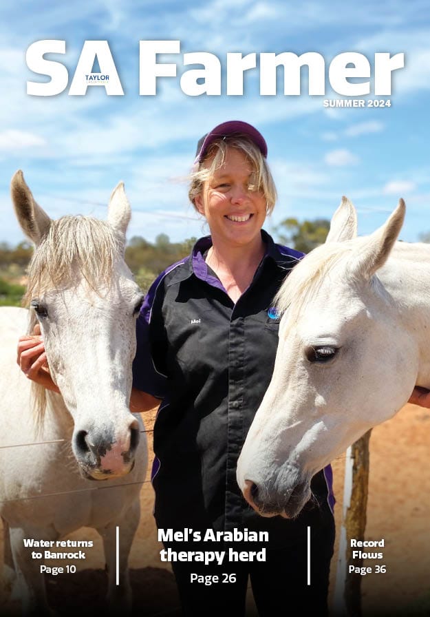 SA Farmer, Summer 2024  post
                                image
