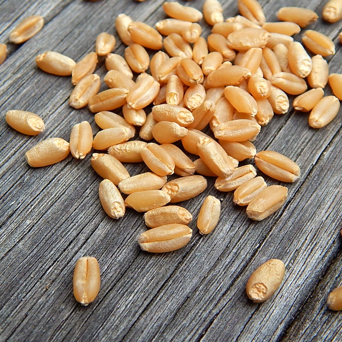 Survey shows significant concerns on chemical restrictions