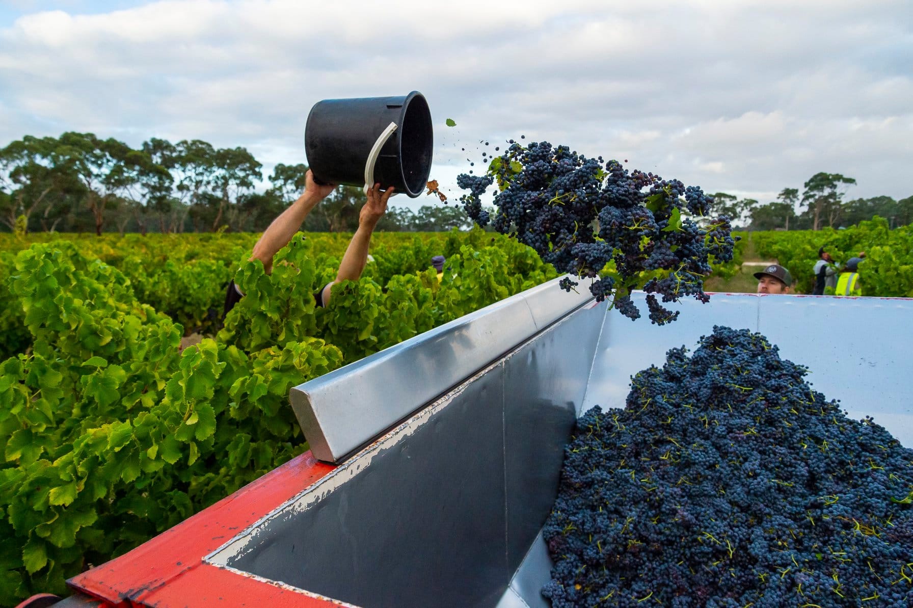 "Good safety means good business": Wine safety video's $60,000 remake