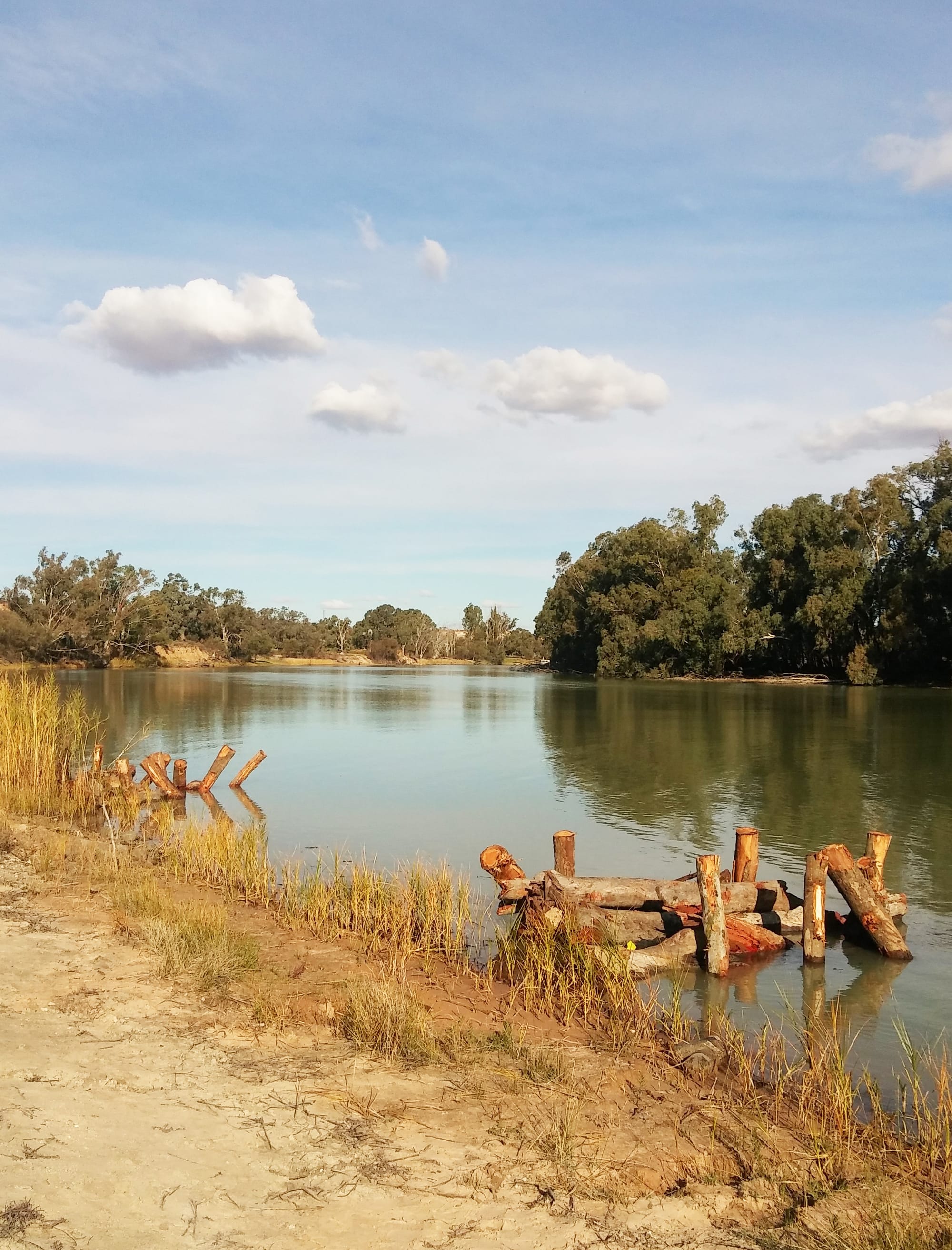 Riverland wineries hit a snag – and help out the river
