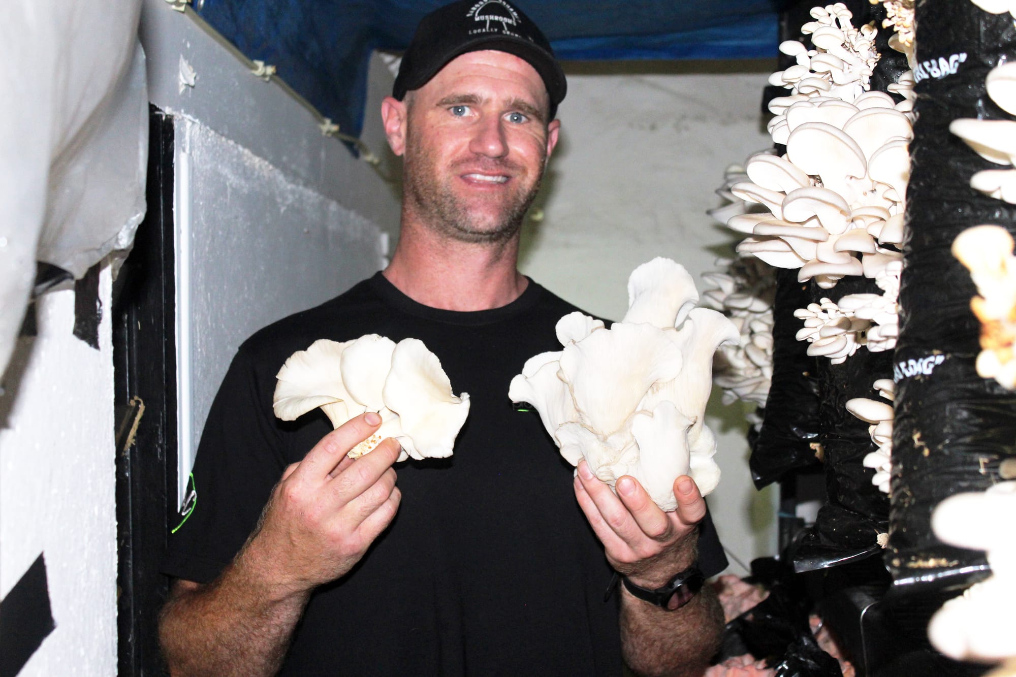 Growing gourmet mushrooms out of a garage