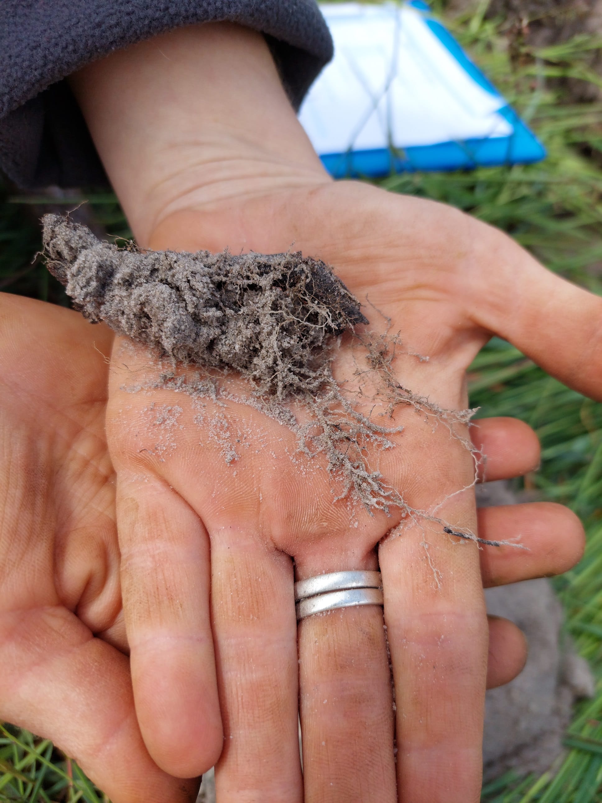 New project focuses on farming in a changing soil environment