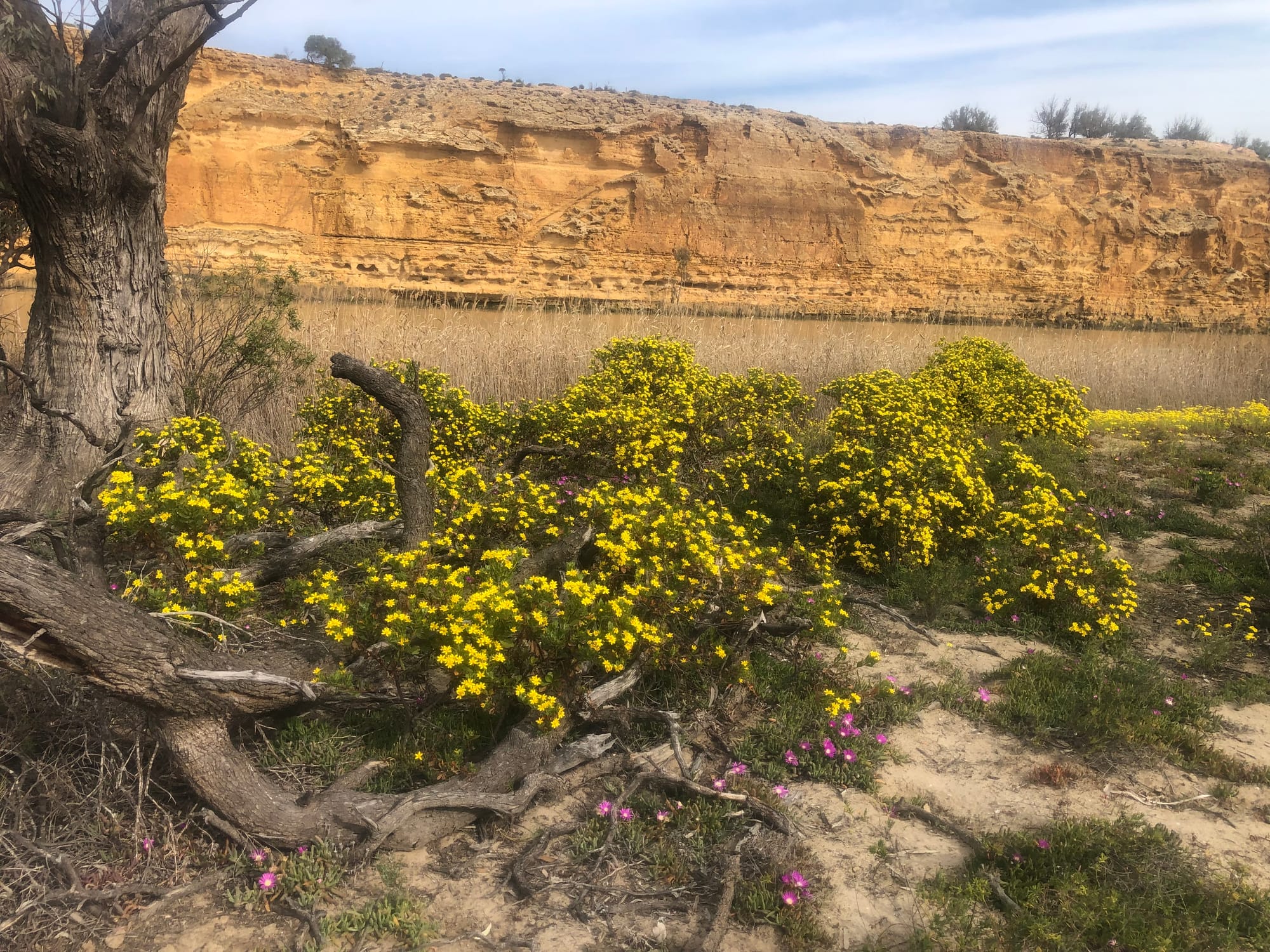 Landscape board offering local weed support