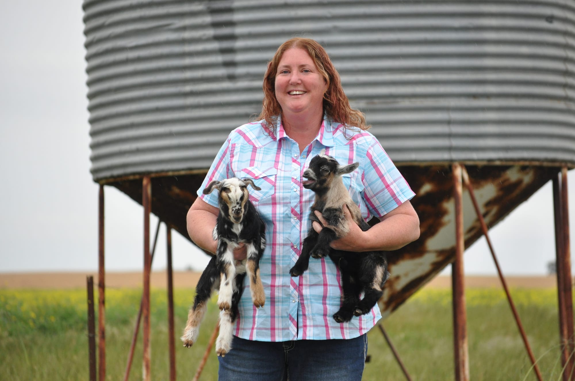Goats abound at Lameroo