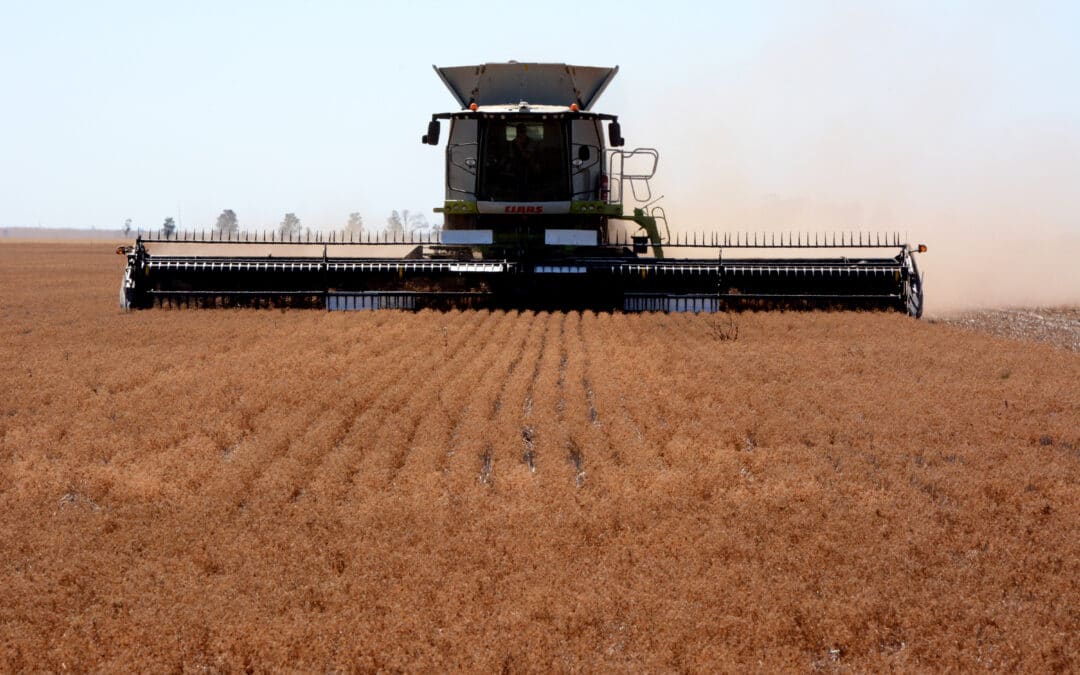 Grain producer CFS volunteers threaten to walk away