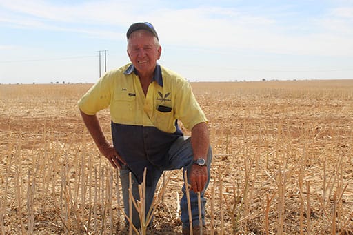 John Lush, Mallala dryland farmer, Adelaide Plains councillor