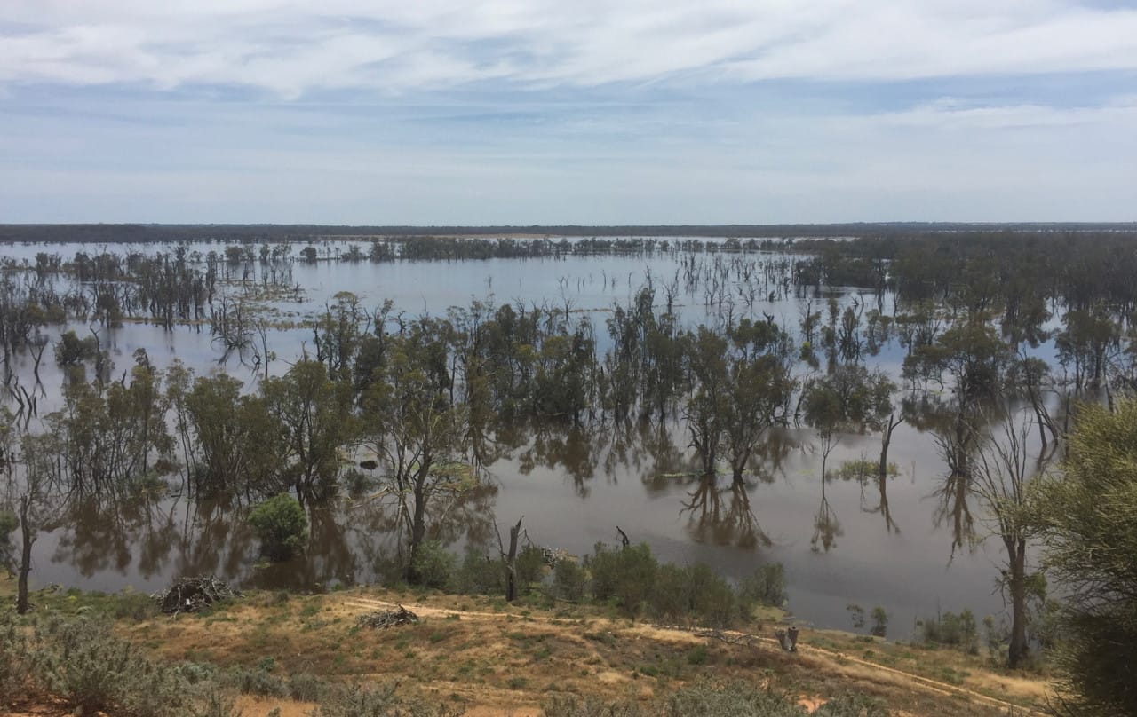 Dry end to 2021, but rain storages remain strong