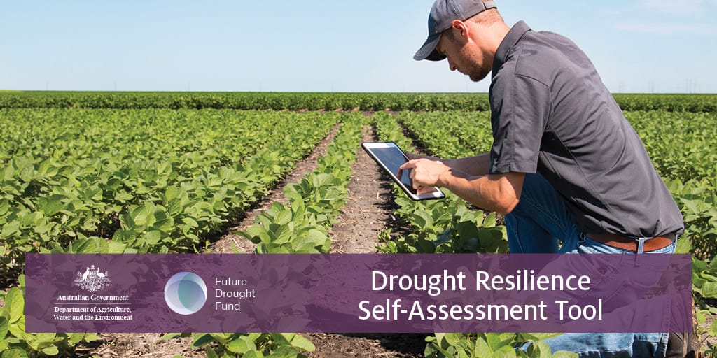 New climate tools to help Mallee farmers