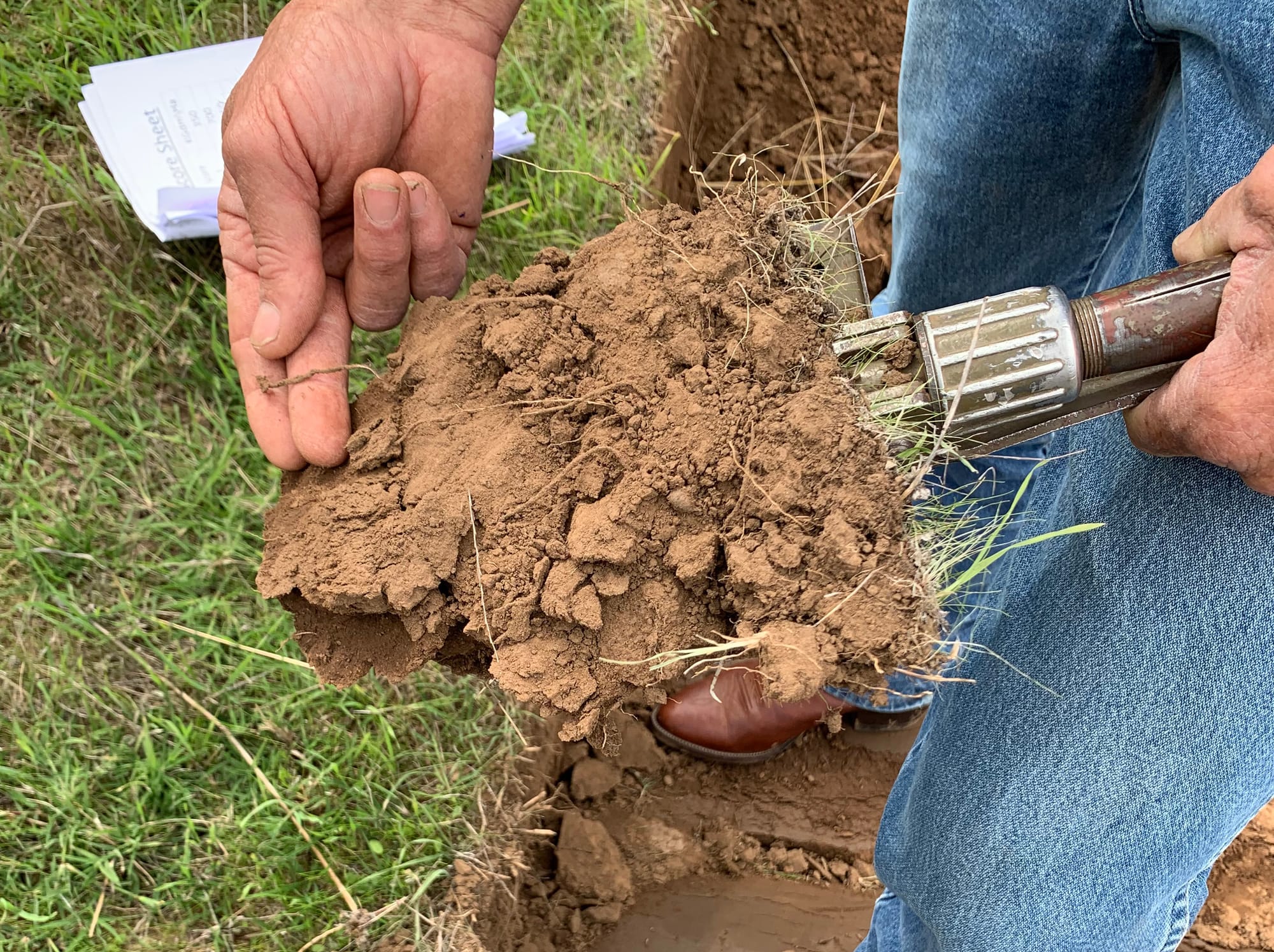 Free soil advice for Riverland and Murraylands