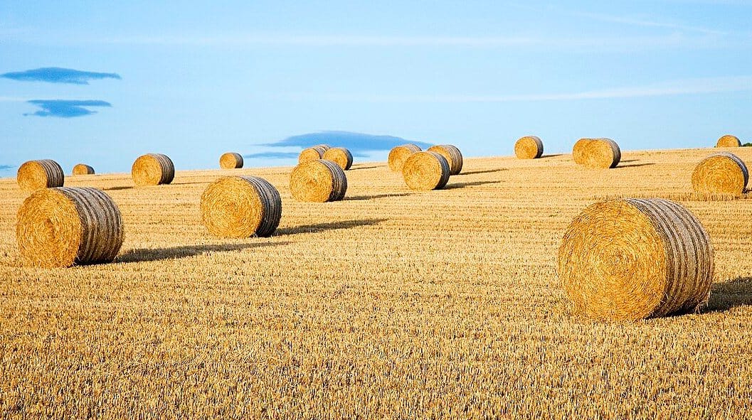 Need for Feed travels to South Australia