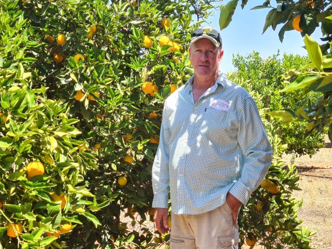 Industry expert update: Mark Doecke