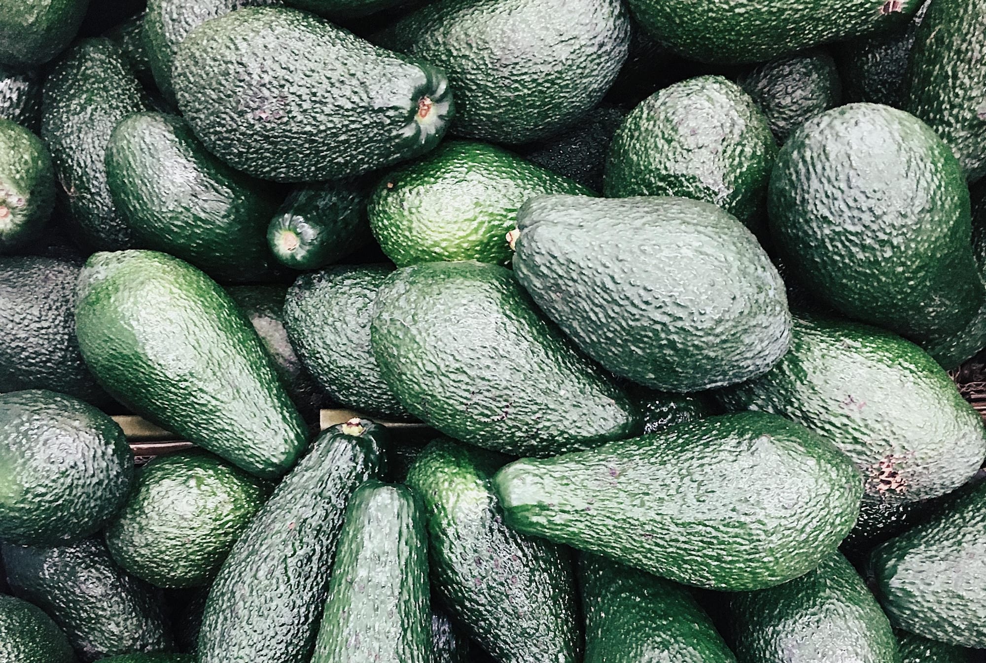 Nation grapples with an avo-lanche