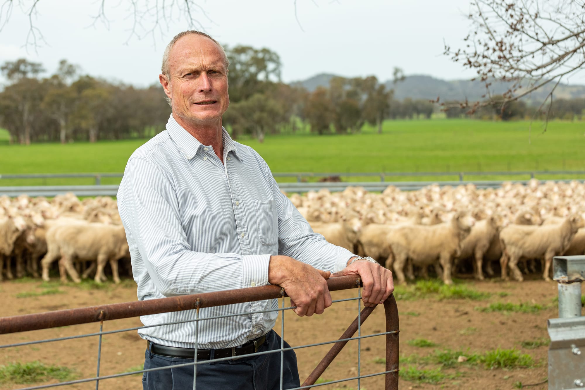 Rural partnership continues to build mental health support