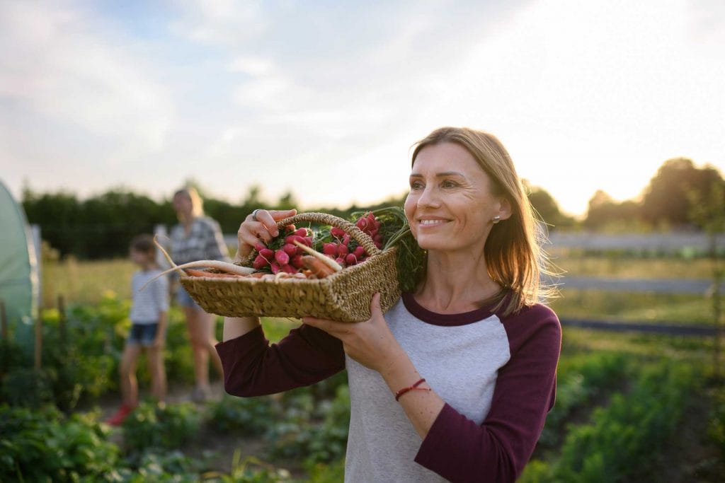 Winter gardening in the Riverland: The best fruits and veggies to grow