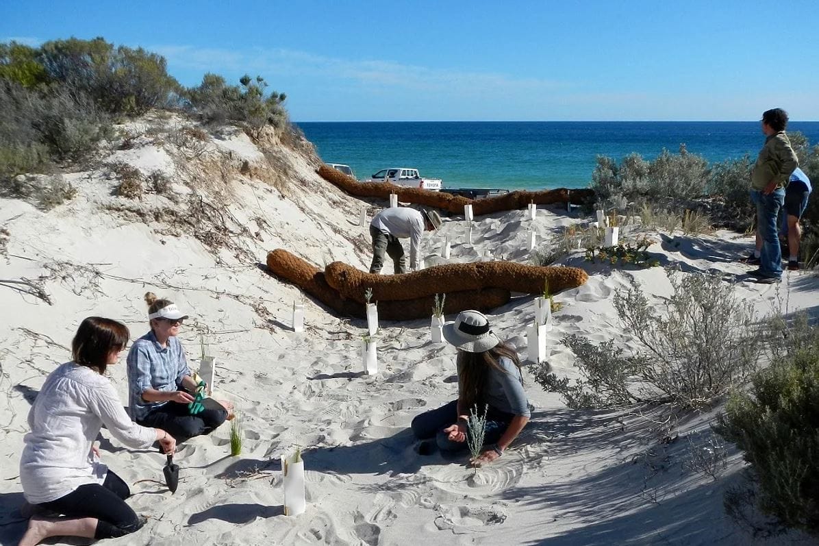 Landscape projects get the go ahead with $1.29m funding