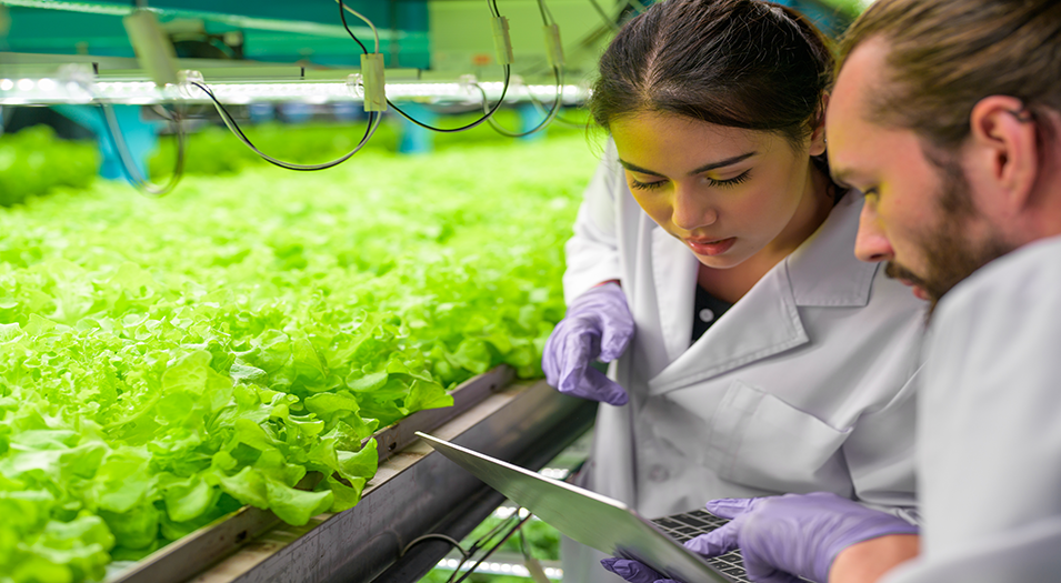 Agricultural research and development investment on the rise