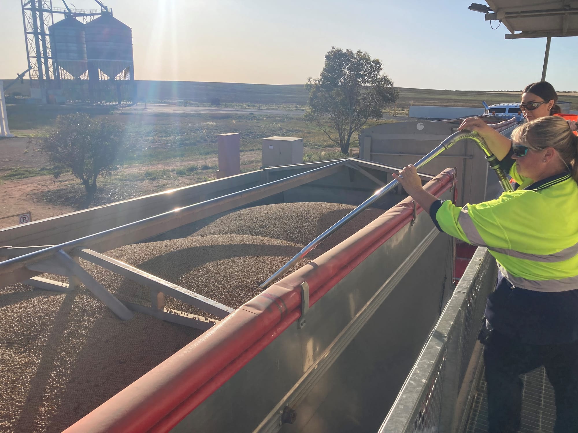 Harvest officially under way in SA