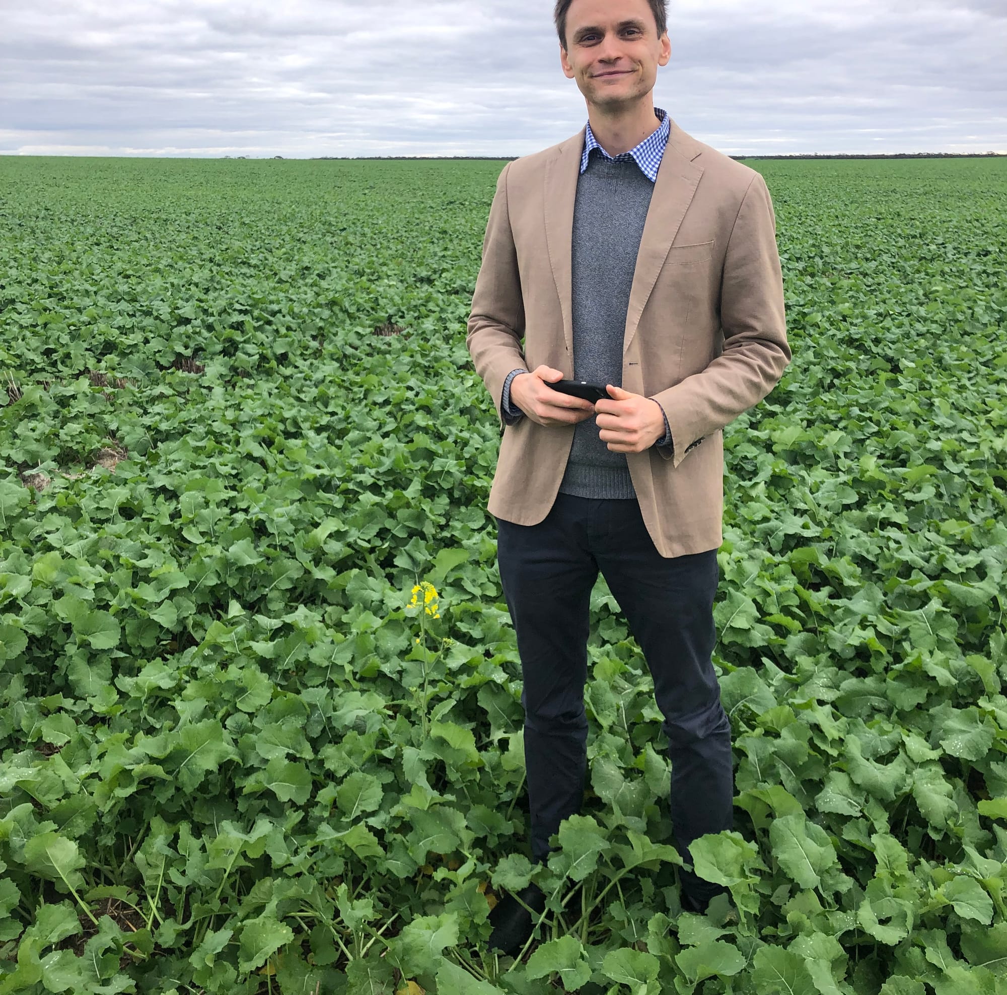 Grain harvest expected to break records