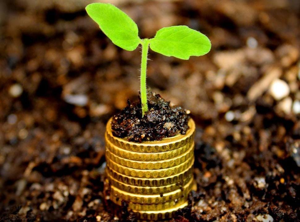 Strong 2021-22 farm financial performance