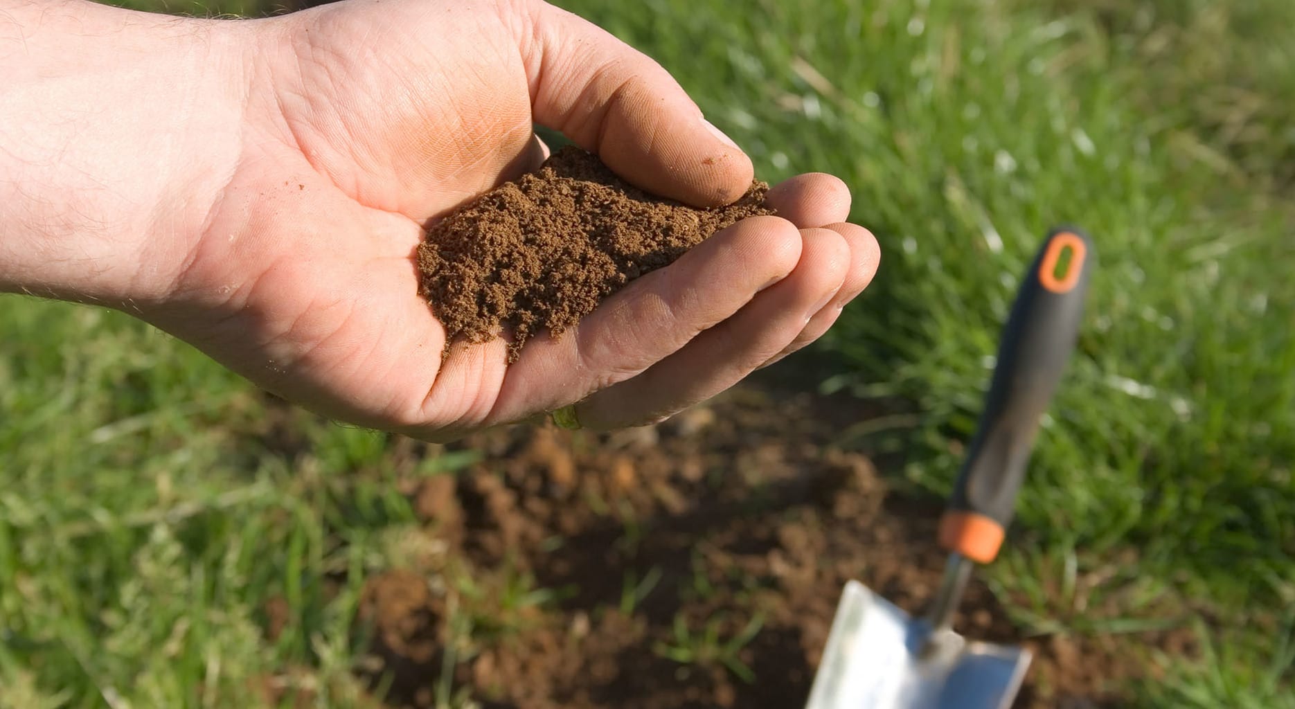 Crop rotation study yields important results