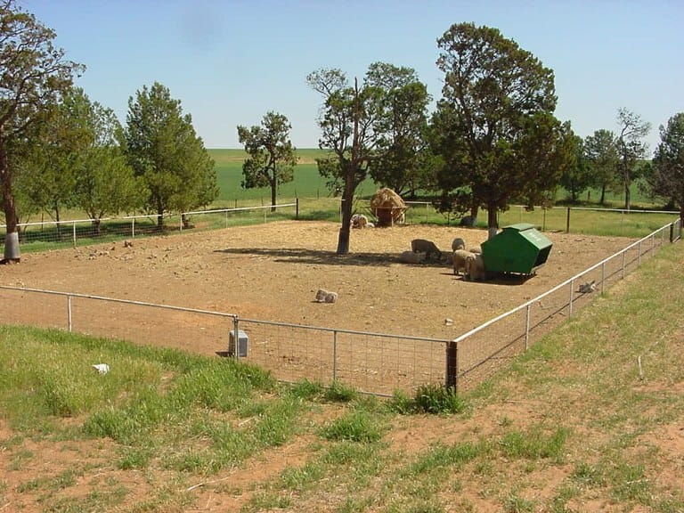 Caring for stock in challenging weather conditions